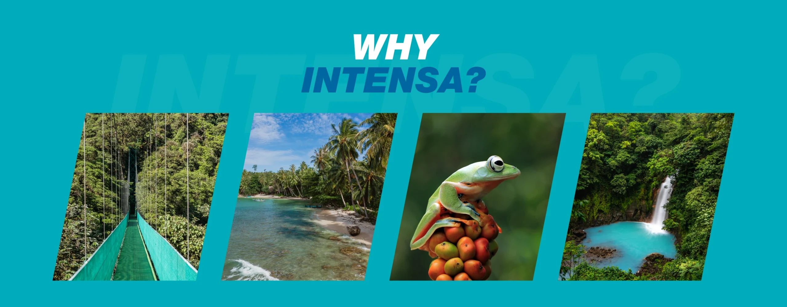 Why Intensa?